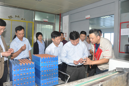 廣晟公司董事長朱偉調研風華自主創新工作