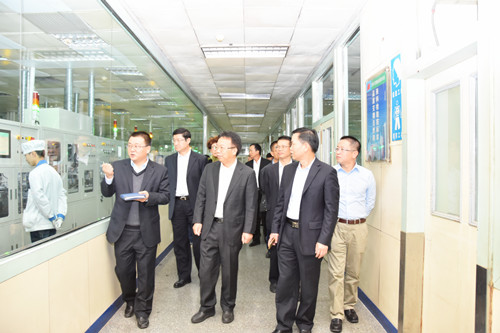 廣晟公司陳勝光總經(jīng)理帶隊赴風華高科檢查督導環(huán)保安全工作